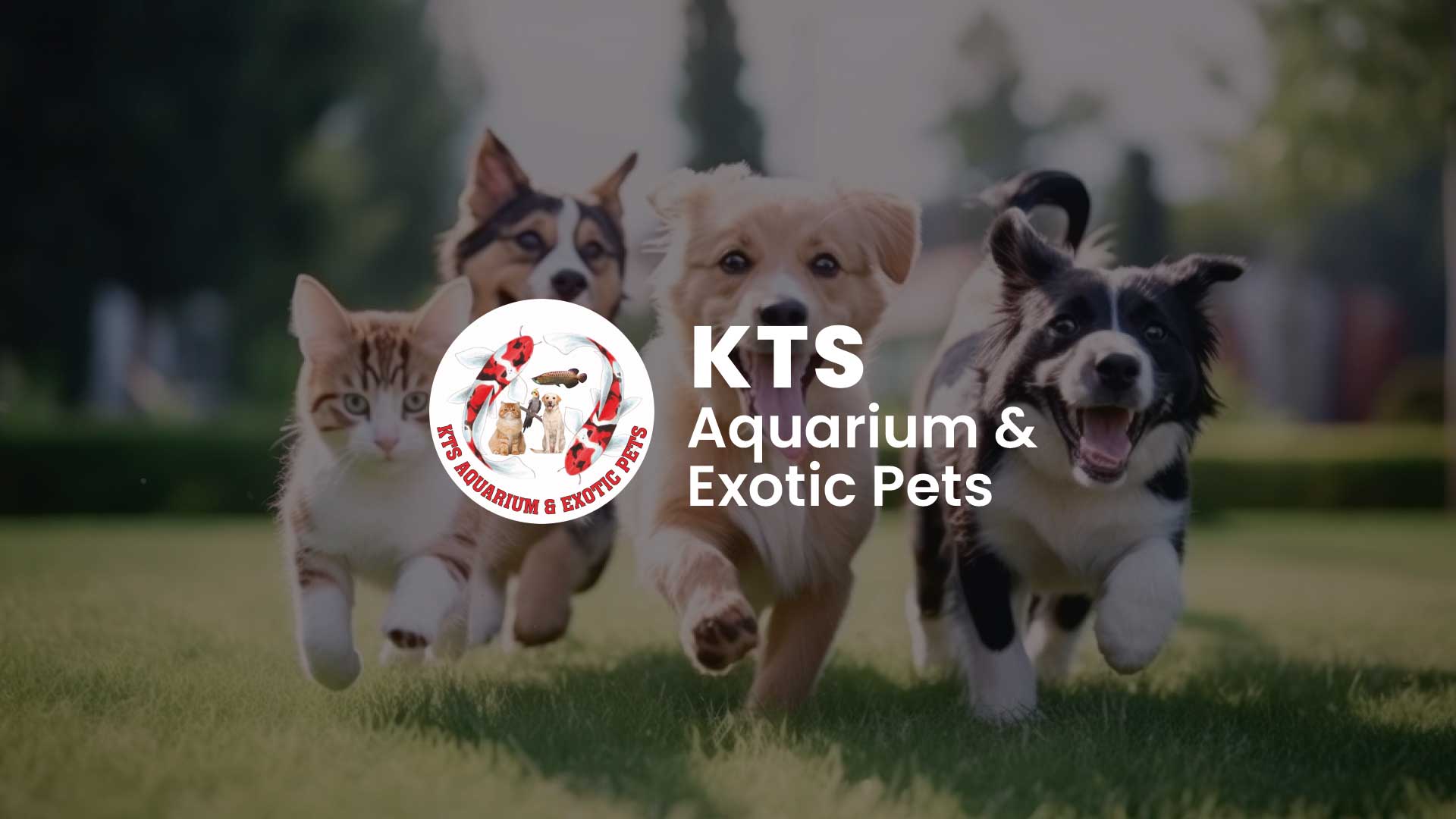 KTS Aquarium & Pets